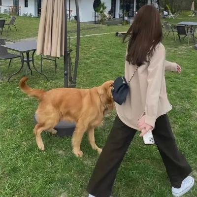 无枷无主